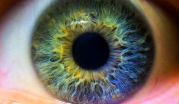 Lesiones oculares ¿Cuáles son las causas más comunes y cómo se tratan?